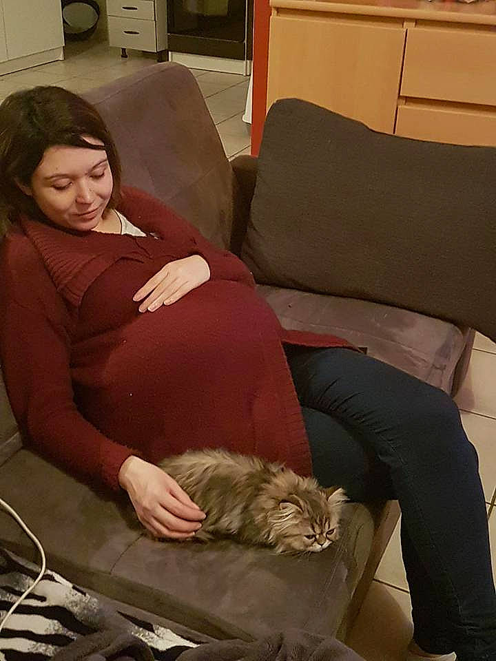 Noé a rejoint le concours — aidez-le/la à gagner de superbes lots ! carnivoran, cat, cat_like_mammal, couch, fur, furniture, girl, leg, mammal, nap, person, sitting, small_to_medium_sized_cats, textile, vertebrate