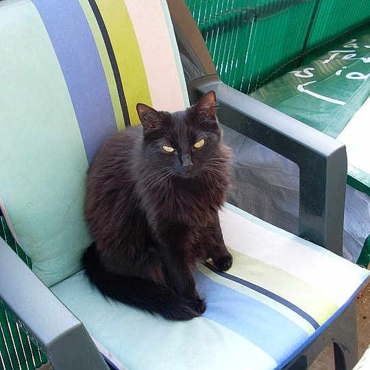 Bijoux