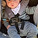 Livio