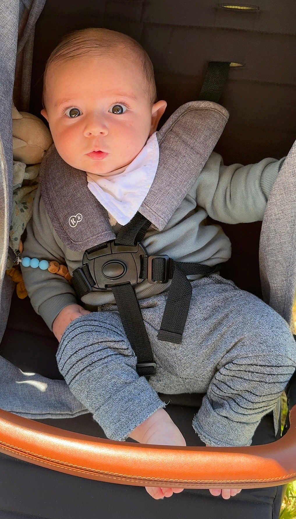 Livio a rejoint le concours — aidez-le/la à gagner de superbes lots ! baby, baby_face, child, clothing, curious_expression, cute, foot, grey_pants, hand, head, infant, outdoor, pout, safety_harness, soft_lighting, straps, stroller, sunlight, white_bib, wide_eyes