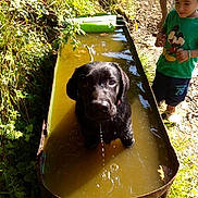 Marley a rejoint le concours — aidez-le/la à gagner de superbes lots !