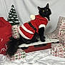 black_cat, cat, santa_outfit, christmas, presents, gift_wrap, sled, holiday, festive, decorative_tree, red_bag, white_background, fur, pet, animal, indoor, seasonal, celebration, costume, winter