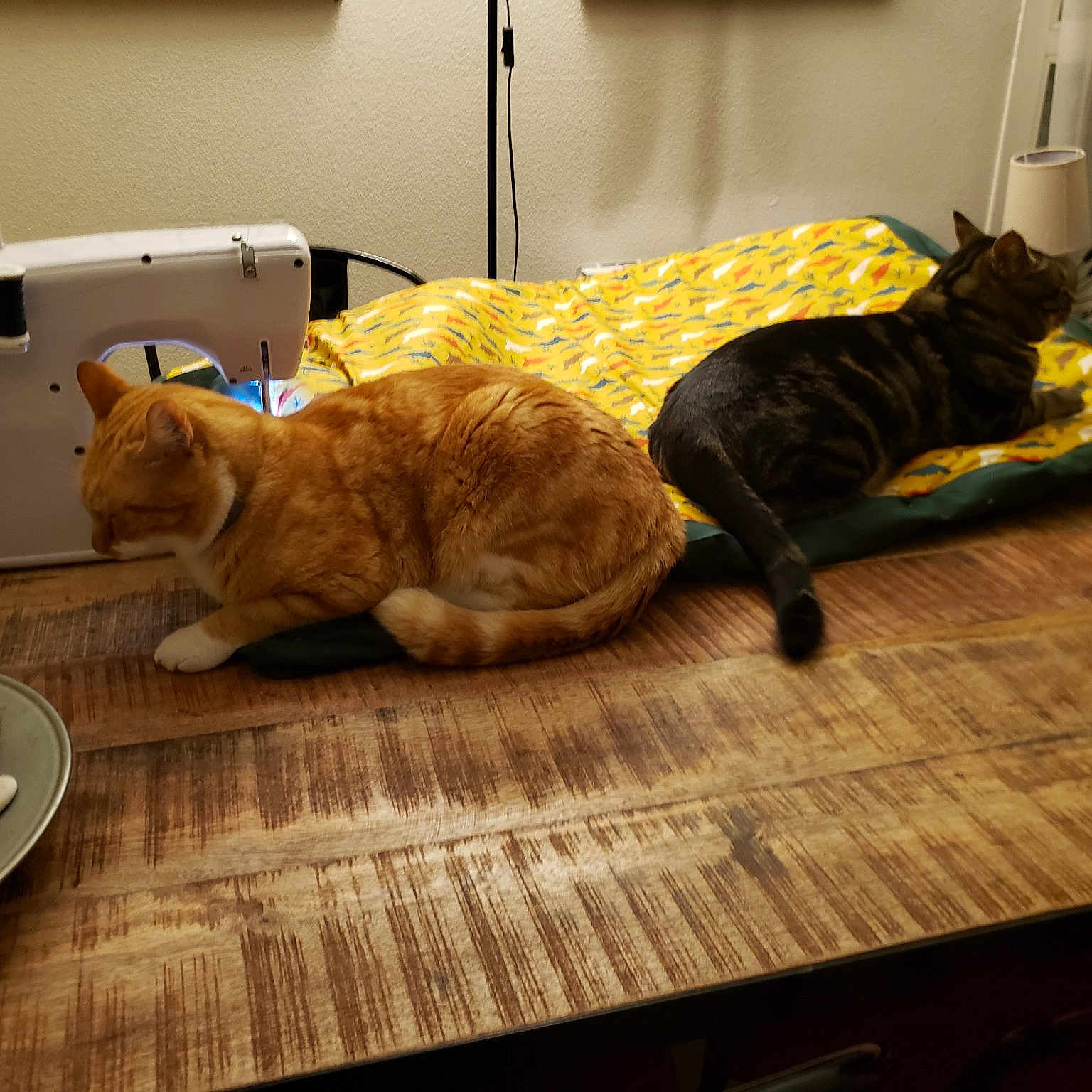 Caramel Et Nougat