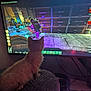 Ozzy joined the competition — help win amazing prizes! kitten, cat, orange_cat, gaming, video_game, screen, indoor, dim_lighting, technology, pet, furniture, soft_surface, entertainment, colorful, silhouette, crouching, curious, monitor, electronics, room