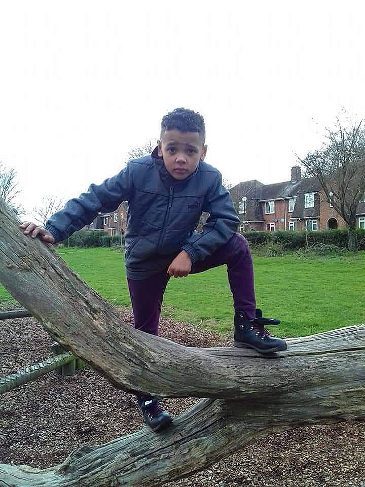 Malachi joined the competition — help win amazing prizes! branch, fun, grass, jacket, jeans, mountain, person, plant, sitting, sky, smile, tree, winter, wood