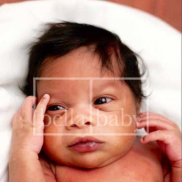 Maurice joined the competition — help win amazing prizes!