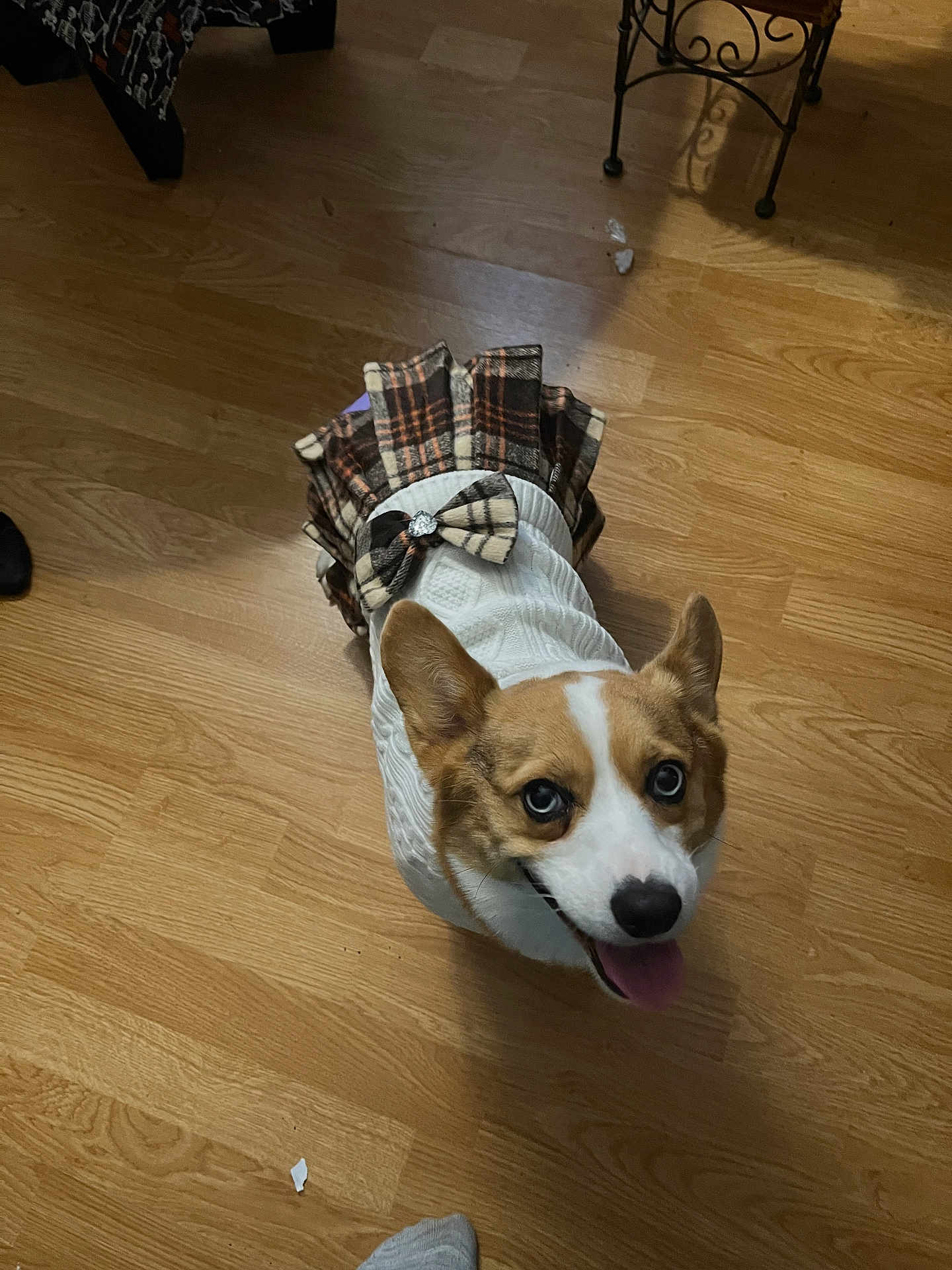 Princess Leia