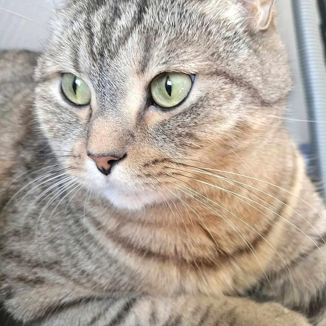Marley