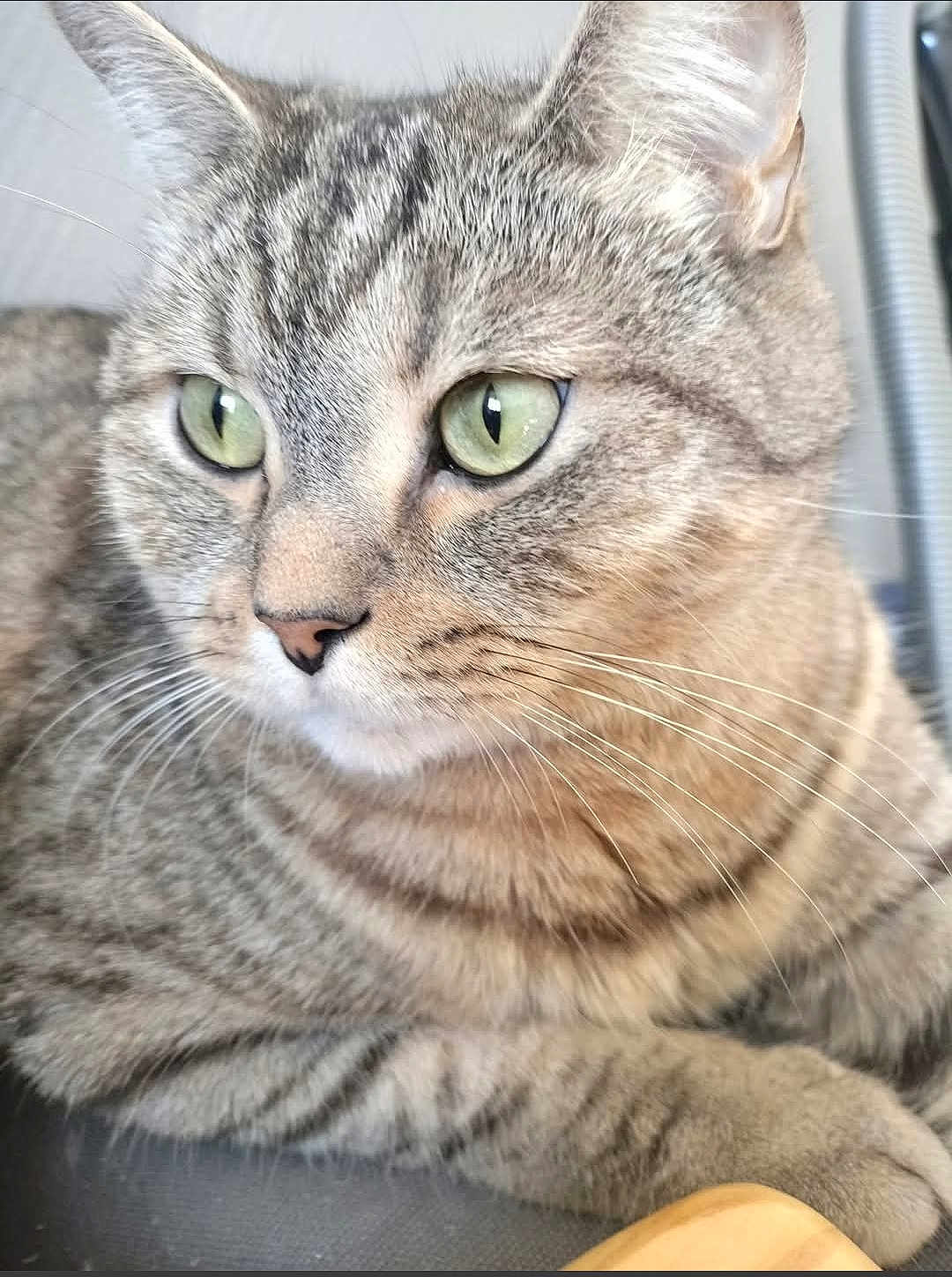 Marley