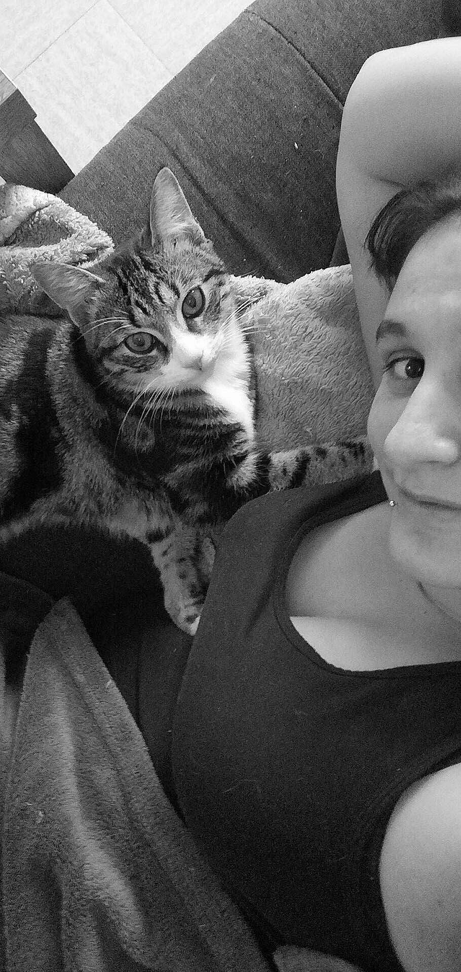 Oasis participe au concours pour gagner de l'argent avec cette photo : asian, beauty, black, black_and_white, carnivore, cat, domestic_short_haired_cat, ear, eye, felidae, head, leg, monochrome, monochrome_photography, mouth, nose, photography, small_to_medium_sized_cats, snapshot, whiskers