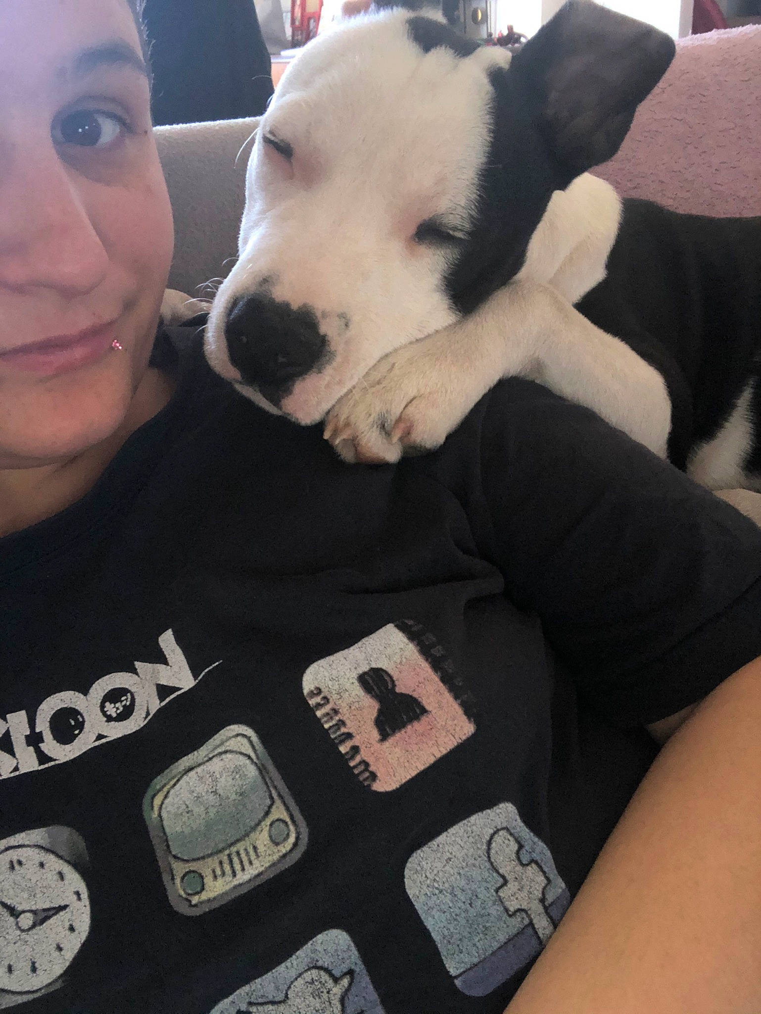 Rush participe au concours pour gagner de l'argent avec cette photo : american_pit_bull_terrier, american_staffordshire_terrier, canidae, carnivore, companion_dog, dog, dog_breed, fawn, non_sporting_group, pit_bull, puppy_love, snout