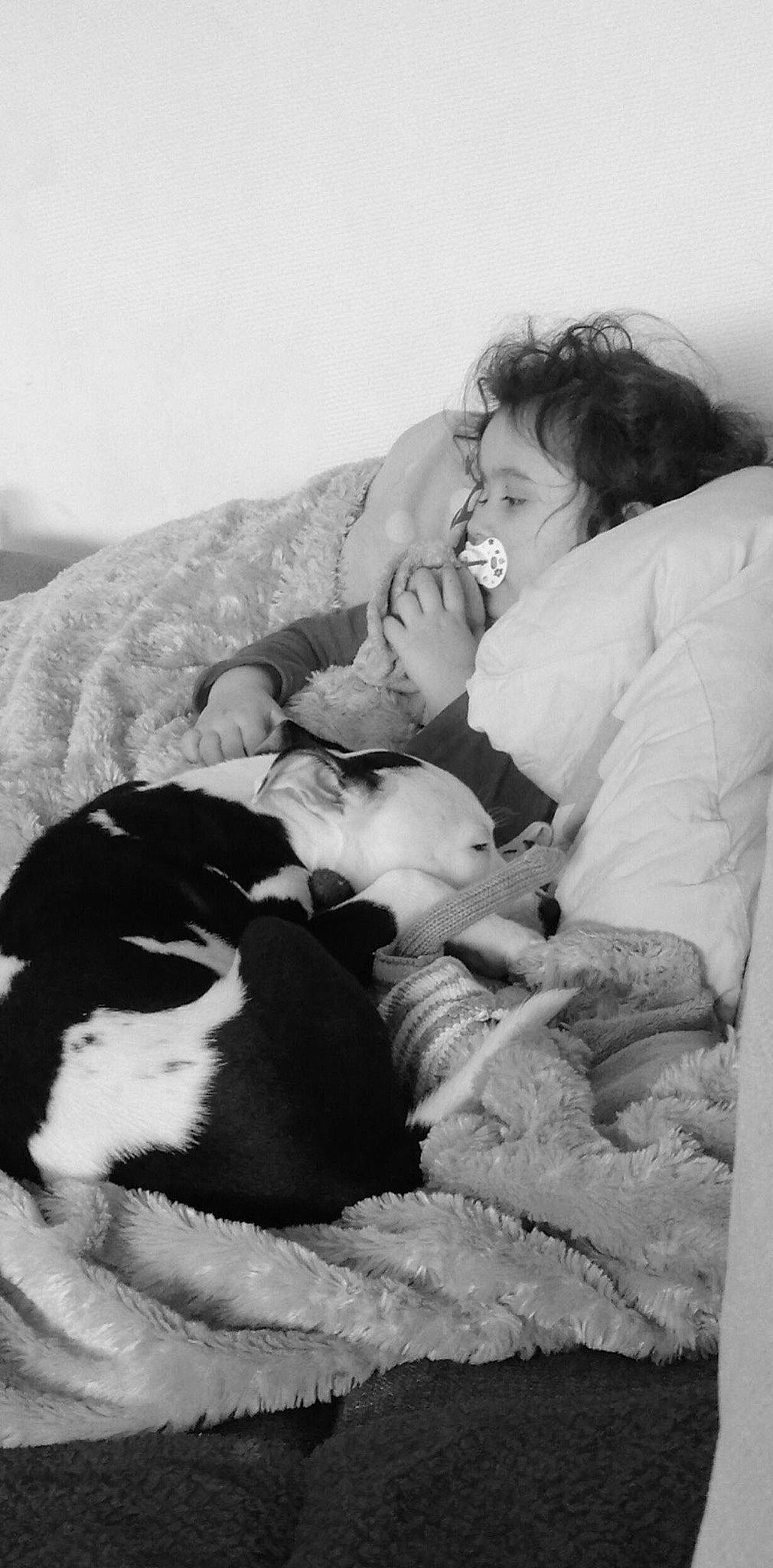 Rush participe au concours pour gagner de l'argent avec cette photo : baby, bedtime, birth, black_and_white, canidae, child, comfort, family, fur, monochrome, monochrome_photography, nap, photograph, puppy_love, sleep