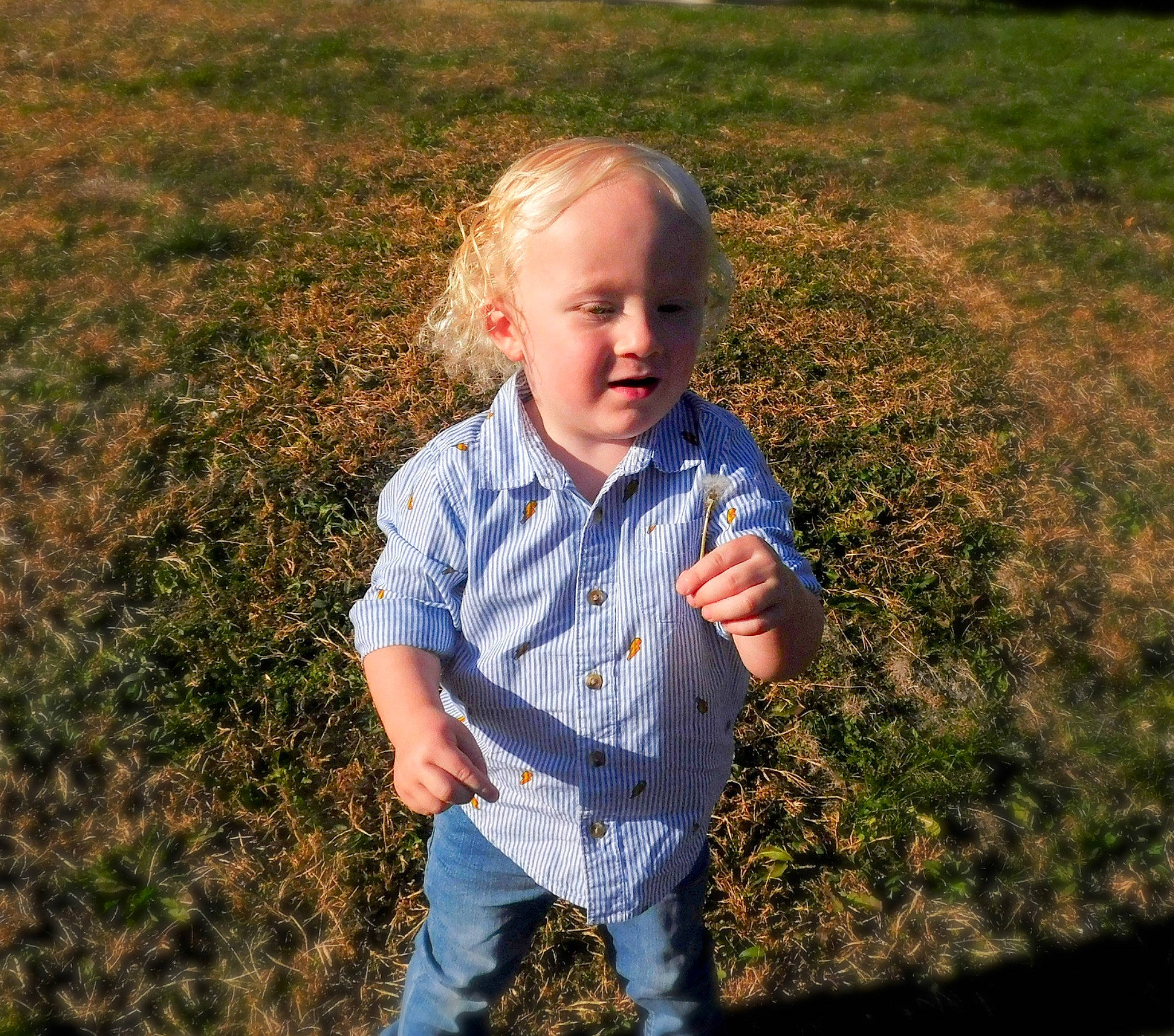 Kason joined the competition — help win amazing prizes! baby, baby_toddler_clothing, child, field, flash_photography, fun, gesture, grass, grass_family, grassland, happy, lawn, leaf, meadow, natural_environment, people_in_nature, person, plant, prairie, sunlight