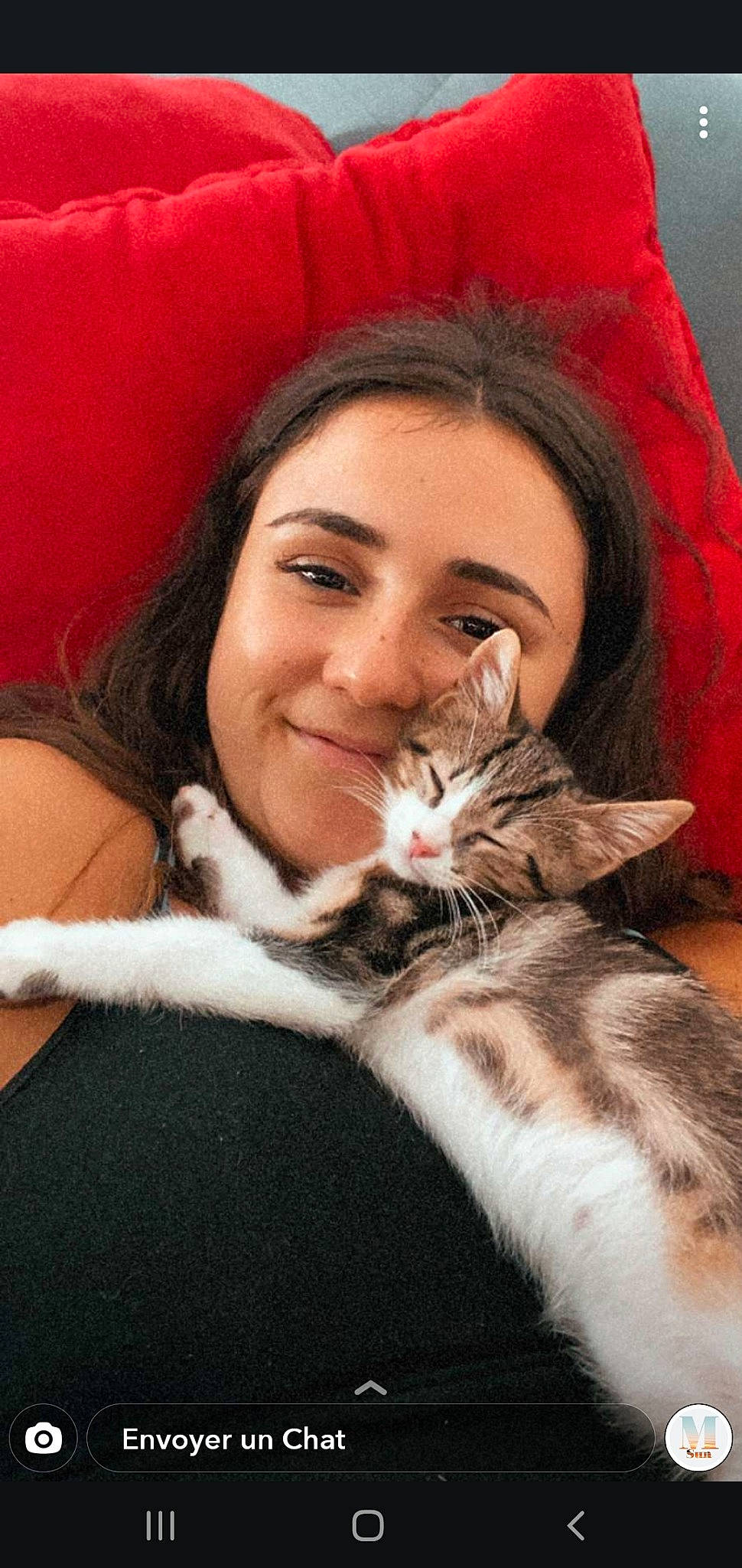 Simba participe au concours pour gagner de l'argent avec cette photo : american_shorthair, american_wirehair, asian, carnivore, cat, domestic_short_haired_cat, european_shorthair, felidae, fur, kitten, nose, small_to_medium_sized_cats, smile, whiskers