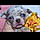 Puppie