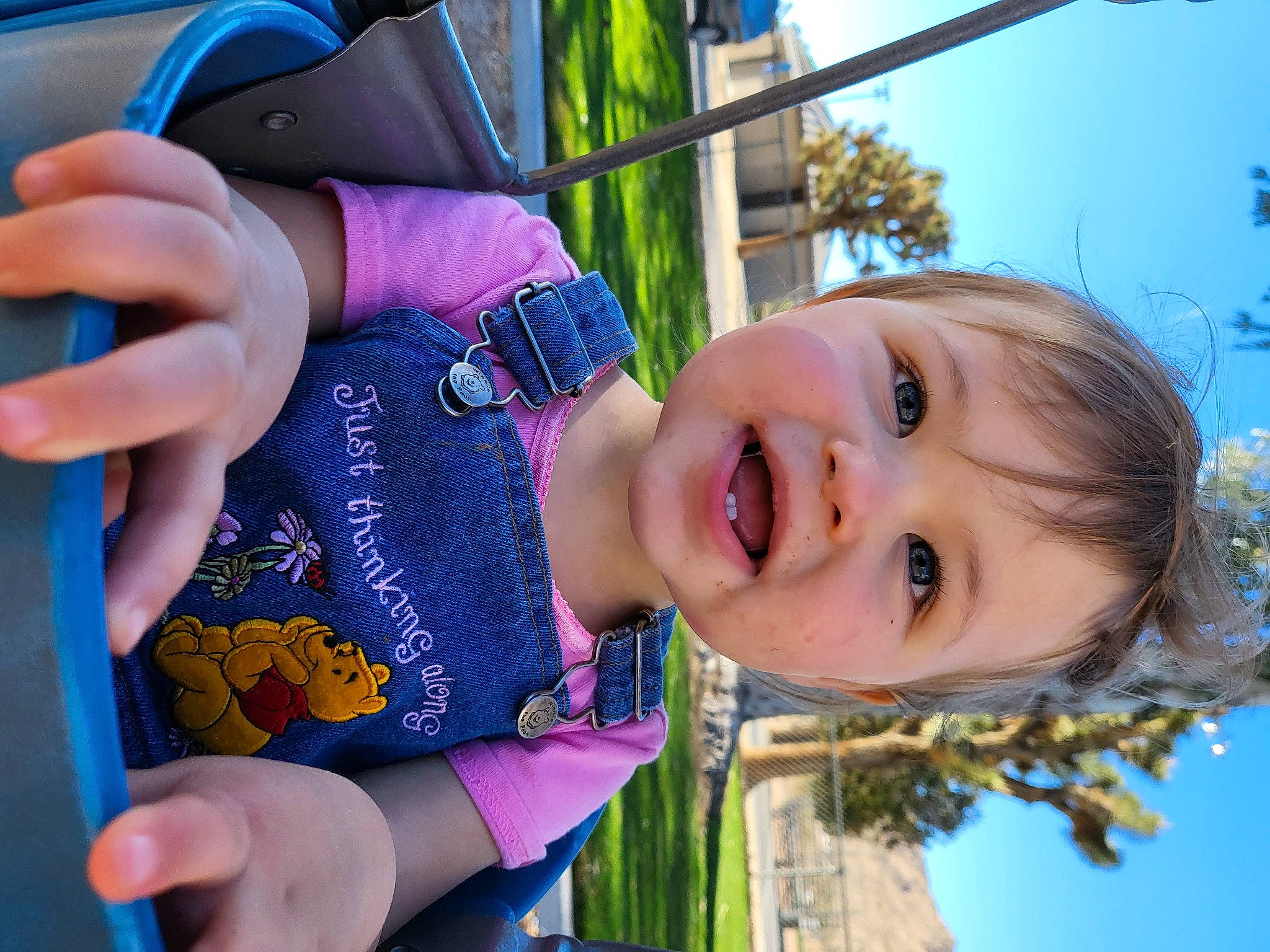 Leah is registered to the contest to win money with this photo: blue, electric_blue, fun, grass, happy, iris, leisure, lip, people_in_nature, person, photograph, pink, plant, recreation, skin, sky, smile, summer, swing, toddler