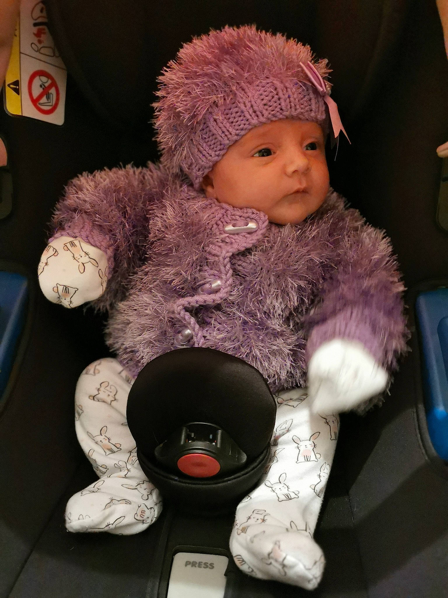 Jessie joined the competition — help win amazing prizes! baby, beanie, bonnet, cap, car_seat, child, ear, fur, hat, headgear, headwear, knit_cap, person, purple, sitting, toddler, toy, ushanka, wool