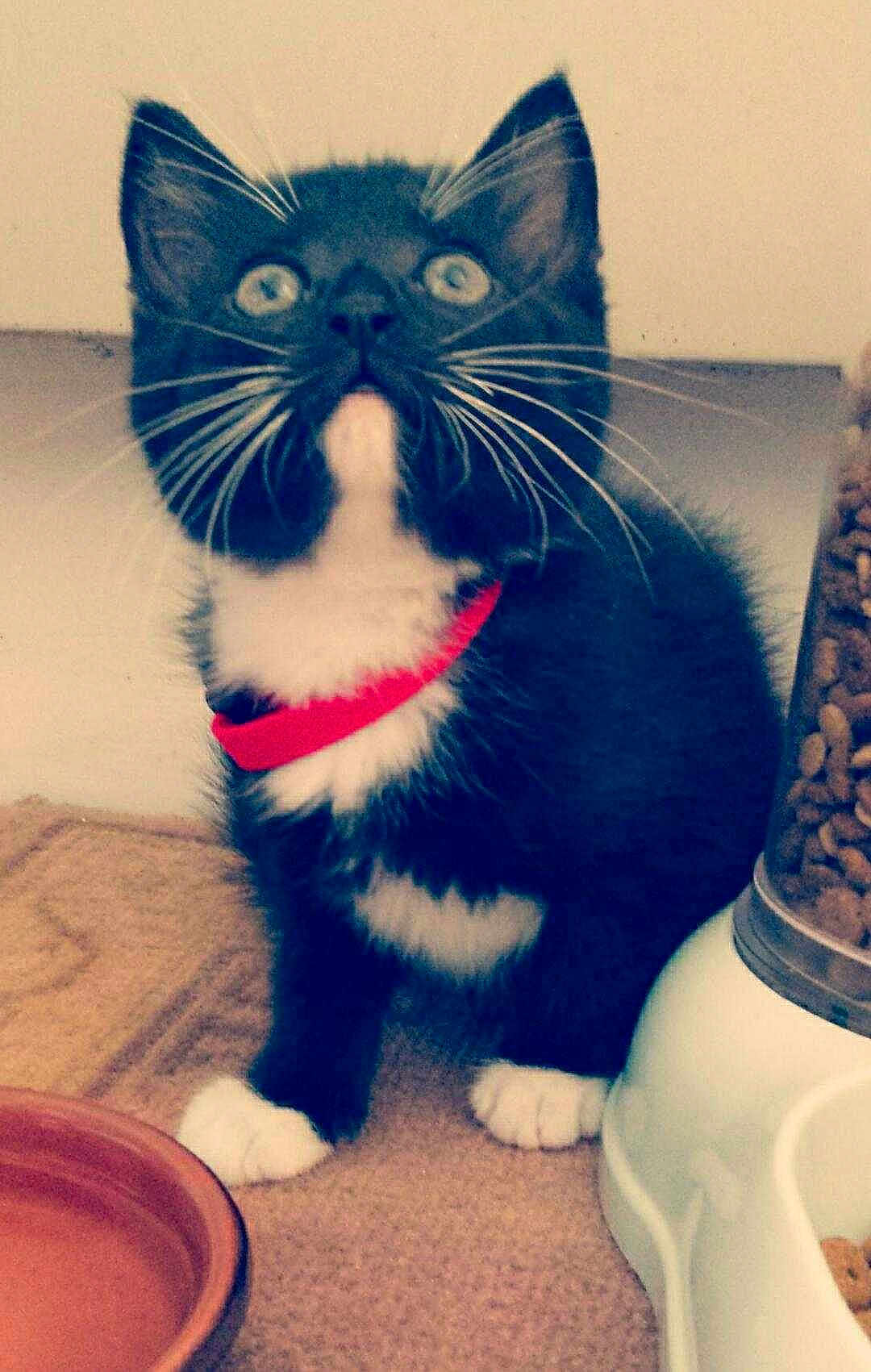 Kooky