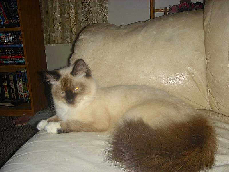 Marie