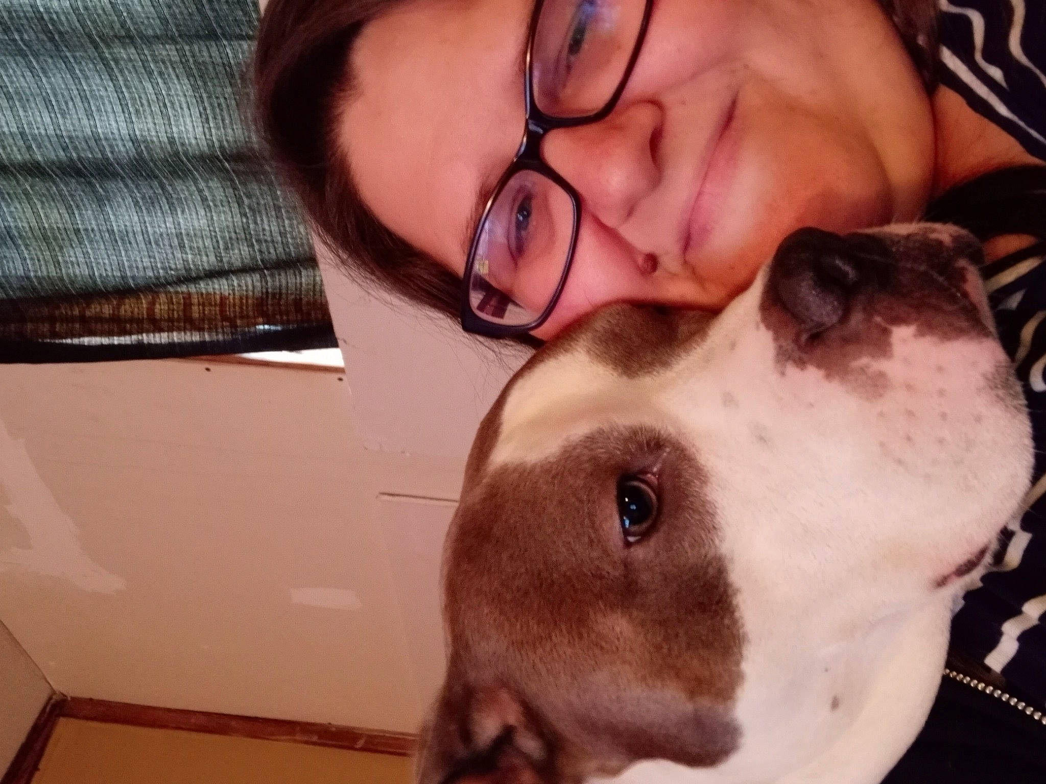 Luci is registered to the contest to win money with this photo: beard, carnivore, companion_dog, dog, dog_breed, ear, eyewear, fawn, glasses, happy, jaw, kiss, mammal, nose, selfie, smile, snout, vision_care, whiskers, working_animal