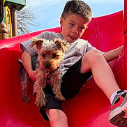 Kc is registered to the contest to win money with this photo: boy, child, dog, small_dog, slide, playground, outdoor, red_slide, casual_clothing, shorts, sneakers, daylight, fun, pet, animal, play, happy, cute, summer, leisure