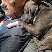 Bailey is registered to the contest to win money with this photo: man, dog, glasses, sleeping_dog, indoor, close_up, snuggling, casual_clothing, pet, facial_hair, earring, paw, resting, brown_fur, beard, human, comfort, affection, portrait, relaxation