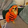 dog, orange_hoodie, pet_clothing, small_dog, couch, pillows, blanket, person, indoor, living_room, medication_bottles, table, cords, furniture, expression, cute, animal, seated, domestic, looking_up