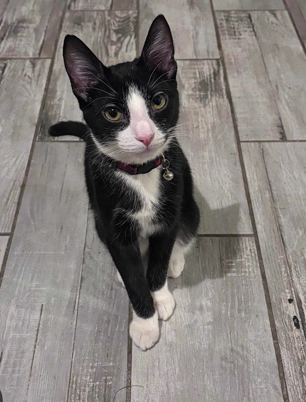 Max