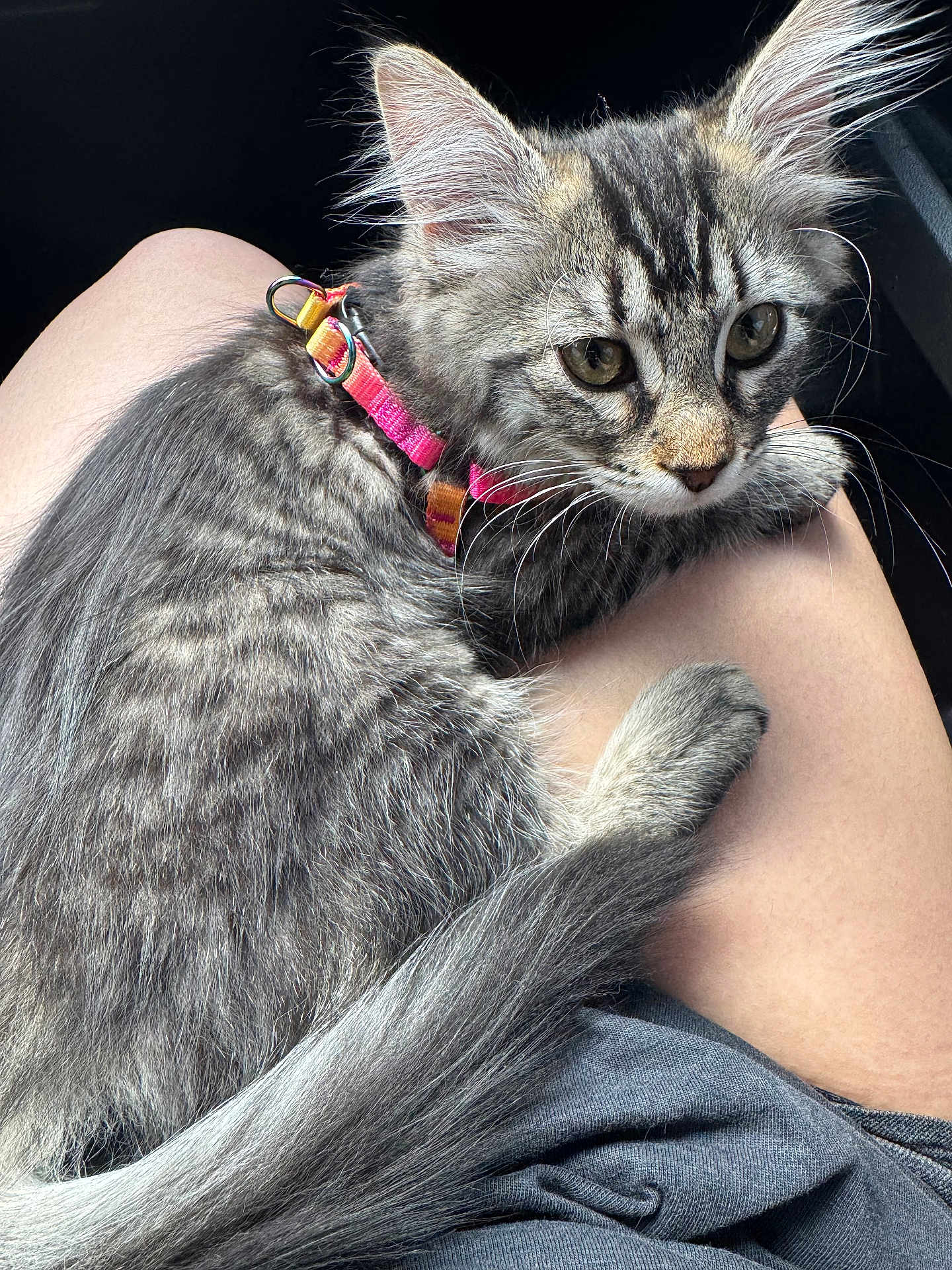 Jinx