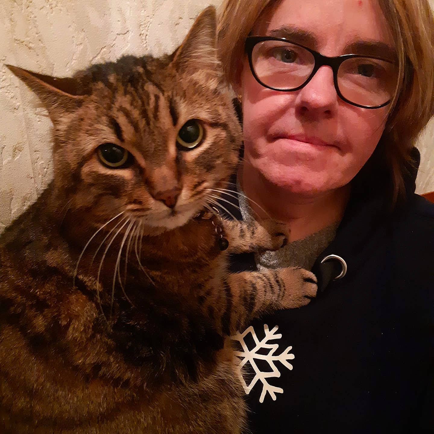 Eastwood participe au concours pour gagner de l'argent avec cette photo : asian, brown_hair, california_spangled, carnivore, cat, domestic_short_haired_cat, ear, european_shorthair, eye, felidae, fur, glasses, hair, iris, person, photography, pixie_bob, small_to_medium_sized_cats, tabby_cat, toyger