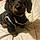 Willie Wiener