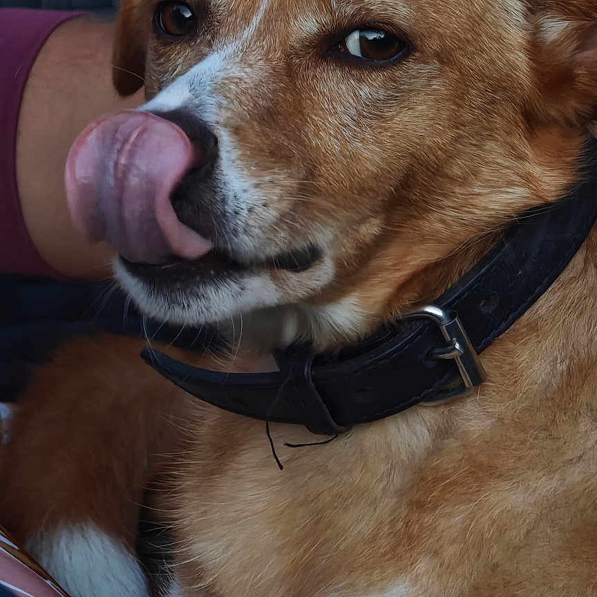Caramel
