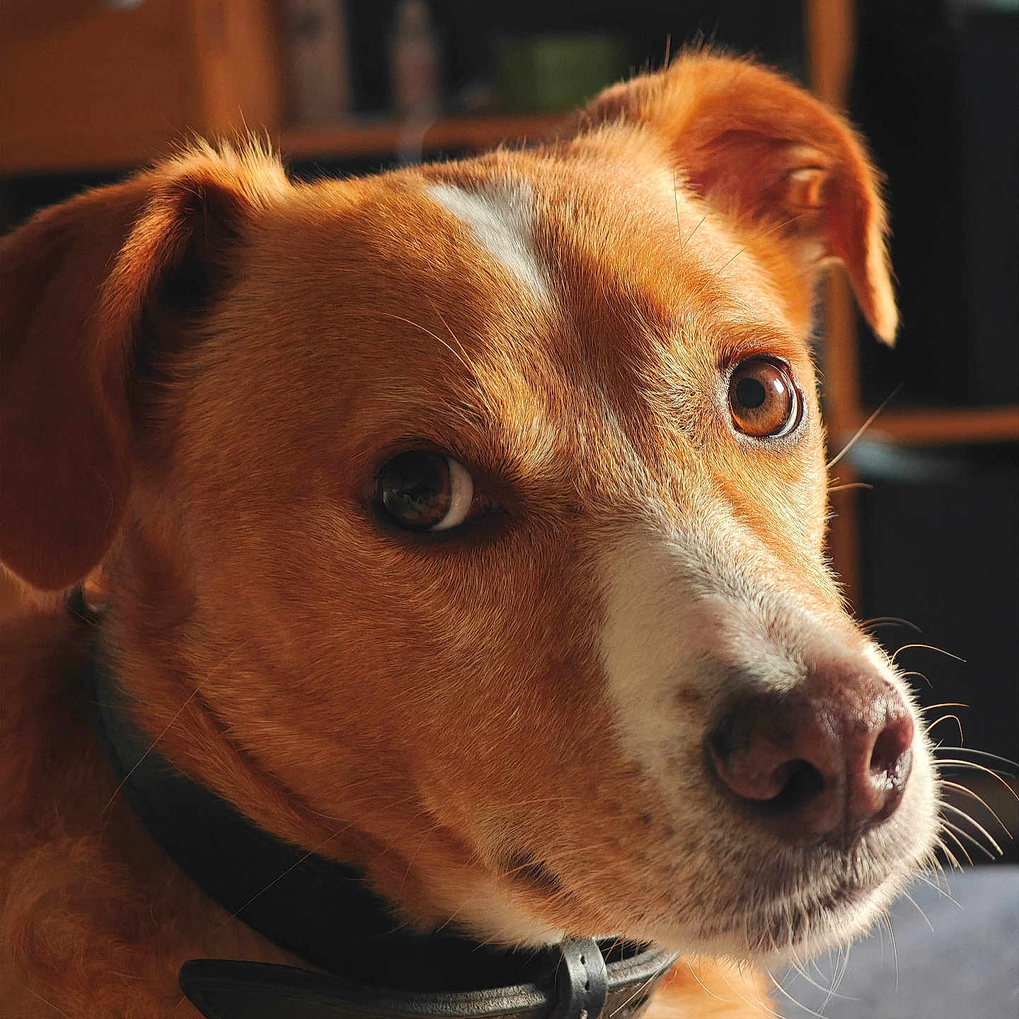 Caramel