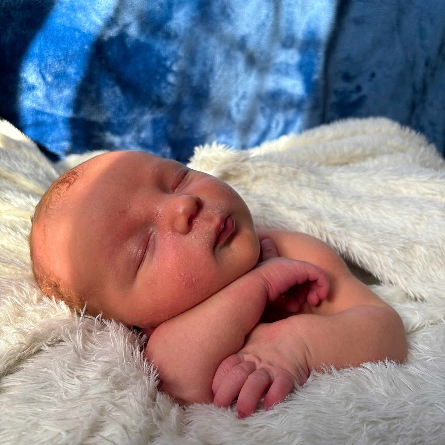 Thiam participe au concours pour gagner de l'argent avec cette photo : baby, bed, bedroom, blanket, bodypart, clothing, face, finger, furniture, hand, head, jeans, newborn, pants, person, photography, portrait, quilt, sleeping, towel