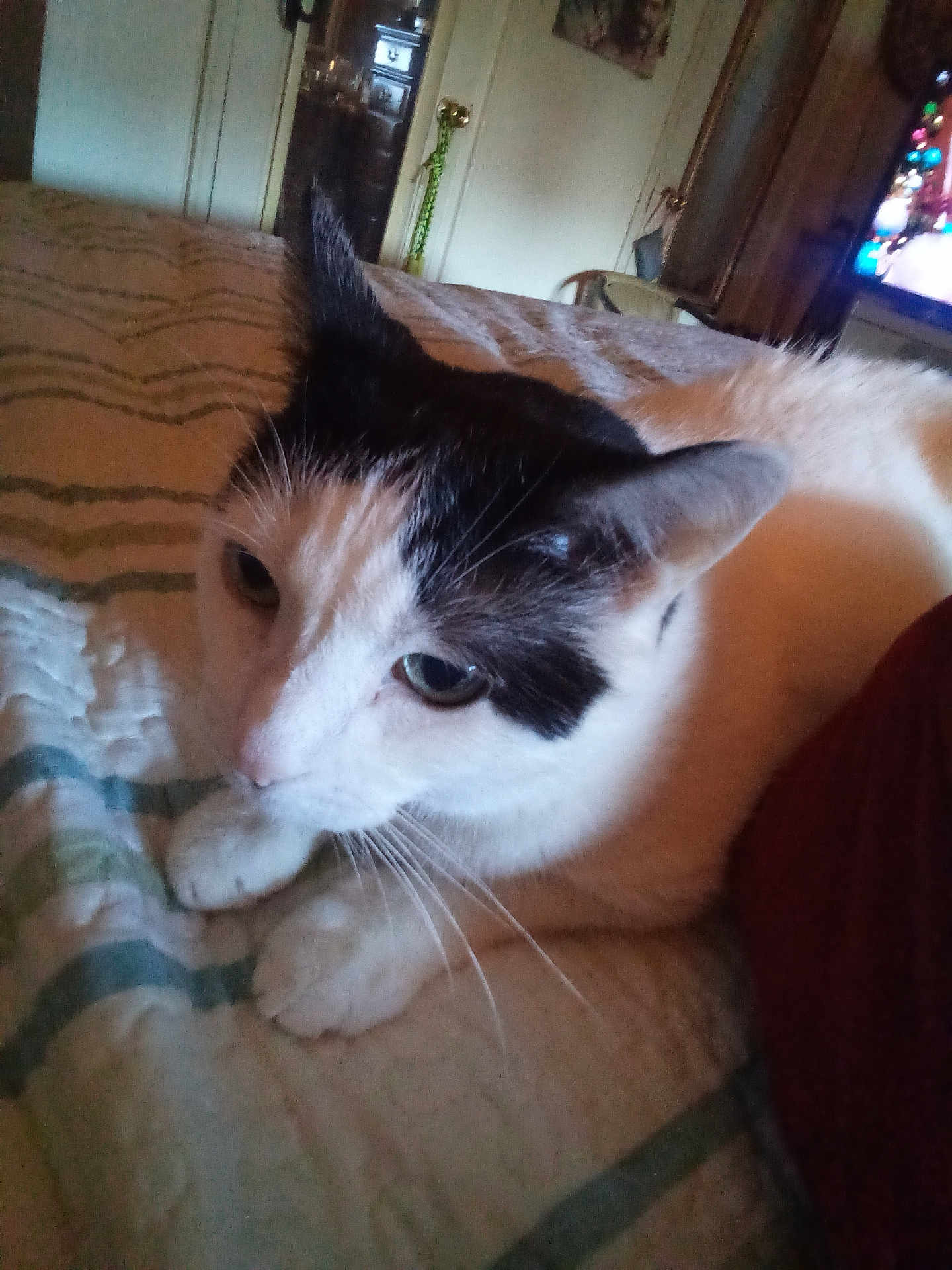 Nena