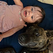 Emilia Rose joined the competition — help win amazing prizes! animal, baby, bed, blanket, brindle_dog, child, closeup, collar, cute, dog, face, friendship, happy, human, indoors, lying_down, pet, pink_dress, portrait, smiling