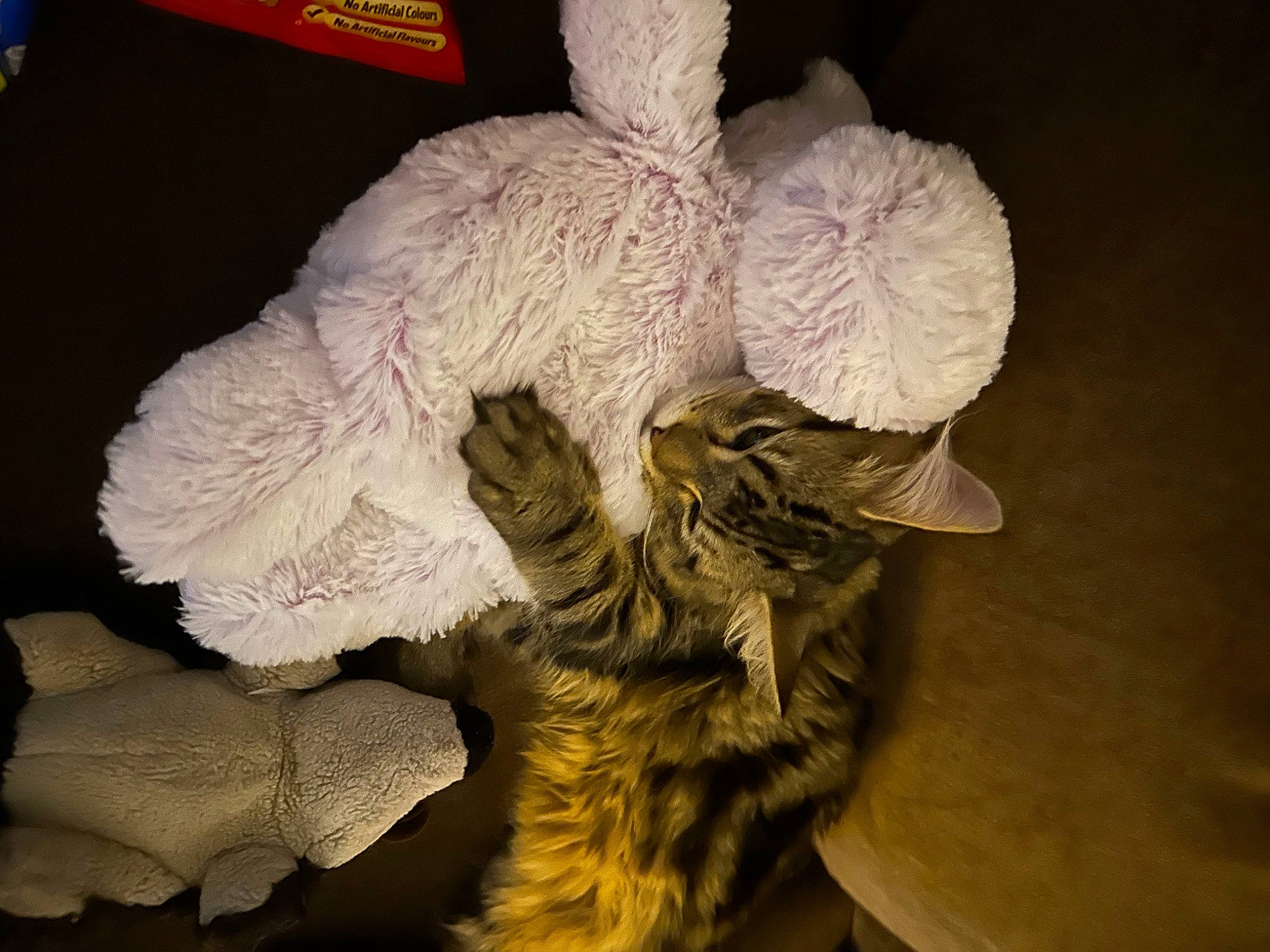 Avery is registered to the contest to win money with this photo: angel, art, costume_design, costume_hat, cut_flowers, fashion_accessory, feather, fur, knitting, linens, petal, plush, still_life_photography, stuffed_toy, tail, thread, toy, victorian_fashion, wing, wool