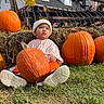 child, baby, pumpkin, autumn, fall, hay_bale, outdoor, portrait, sitting, grass, sunflower, farm_equipment, white_hat, striped_shirt, orange_pants, sneakers, house, backyard, harvest, seasonal