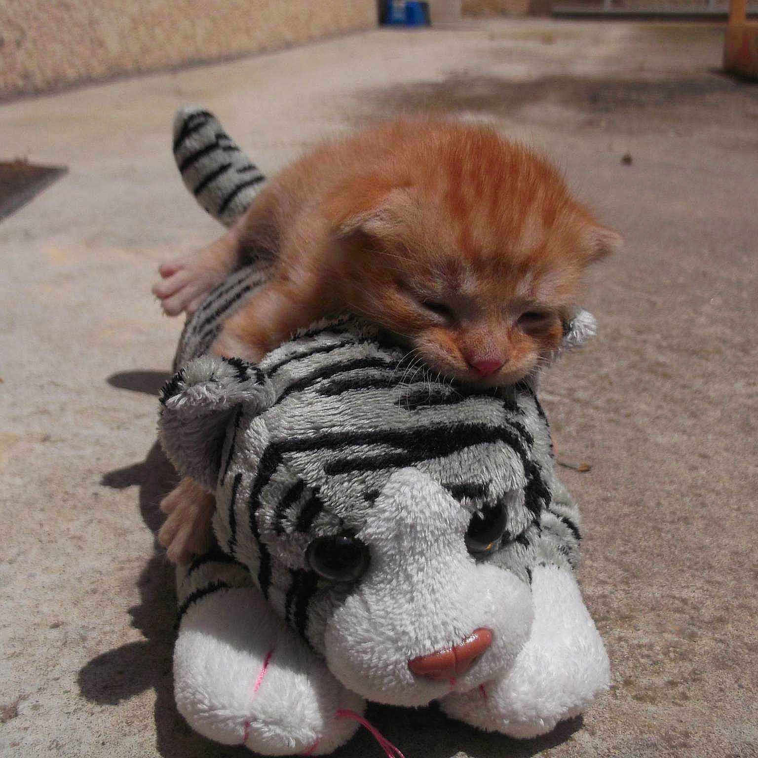 Joko joined the competition — help win amazing prizes!