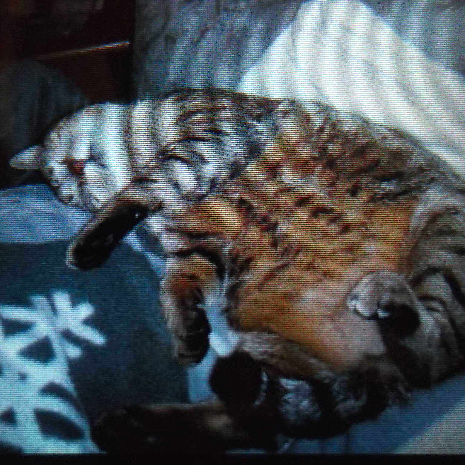 Titou