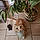 Alvin