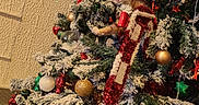 Alvin a rejoint le concours — aidez-le/la à gagner de superbes lots ! cat, christmas_tree, cozy, curious, decorations, festive, festive_lights, gold, green, holiday_decor, holiday_season, indoor, orange_cat, ornaments, pet, plush_chair, red, snowy_branches, wall_sign, white