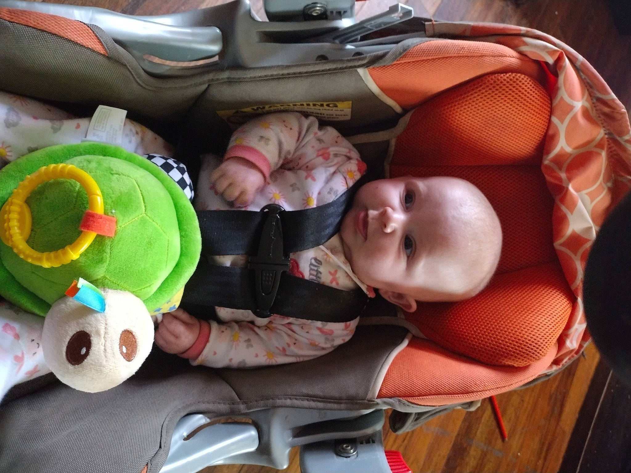 Ammi is registered to the contest to win money with this photo: baby, baby_carriage, baby_in_car_seat, baby_products, baby_safety, baby_toddler_clothing, baby_toys, car_seat, child, comfort, fun, green, person, plastic, product, room, sitting, stuffed_toy, toddler, toy