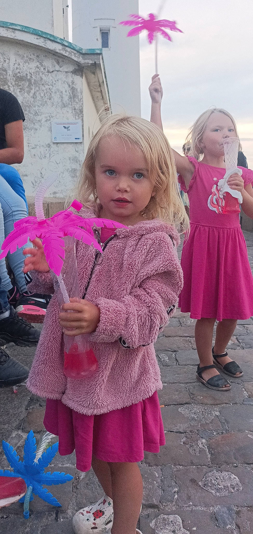 Maelys participe au concours pour gagner de l'argent avec cette photo : child, event, fun, gesture, grass, hand, happy, leisure, magenta, person, pink, plant, purple, shoe, skin, spring, standing, textile, toddler, tradition