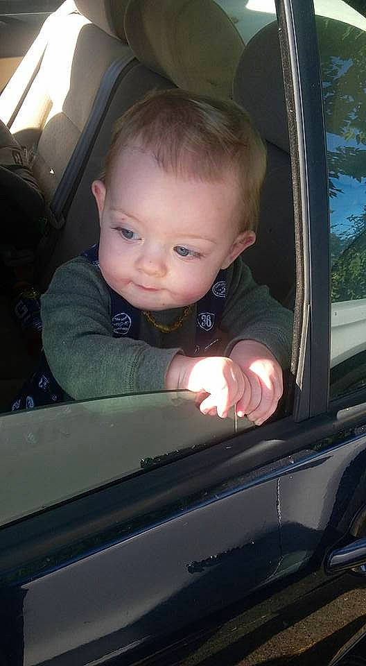 Sebastian Dragon Brunette