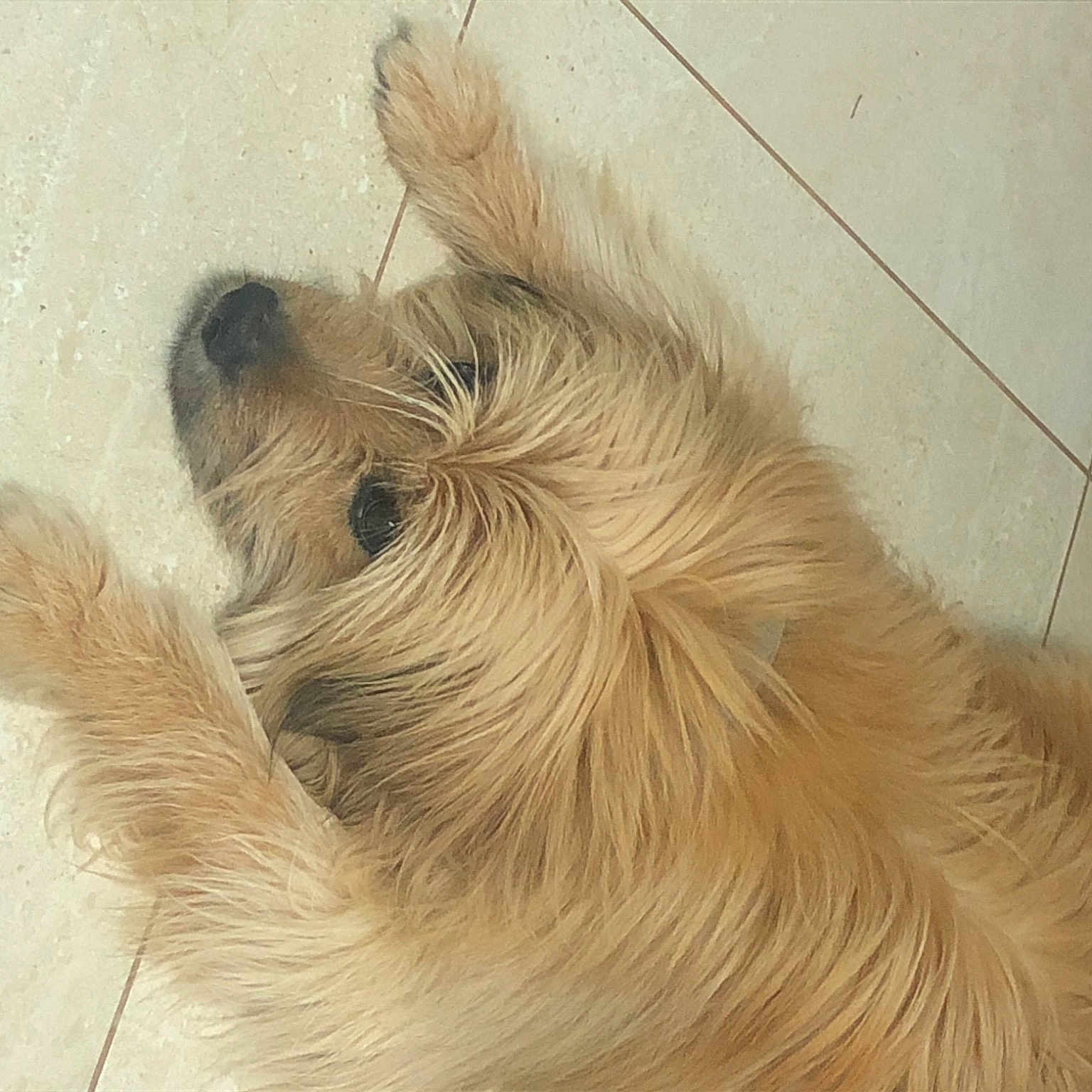 Duncan