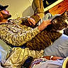 baseball_cap, beard, bed, bedroom, blanket, cat, cozy, furniture, indoor, man, pajamas, petting, pillow, relaxing, remote_control, sitting, striped_fur, tabby_cat, tattoo, wooden_headboard