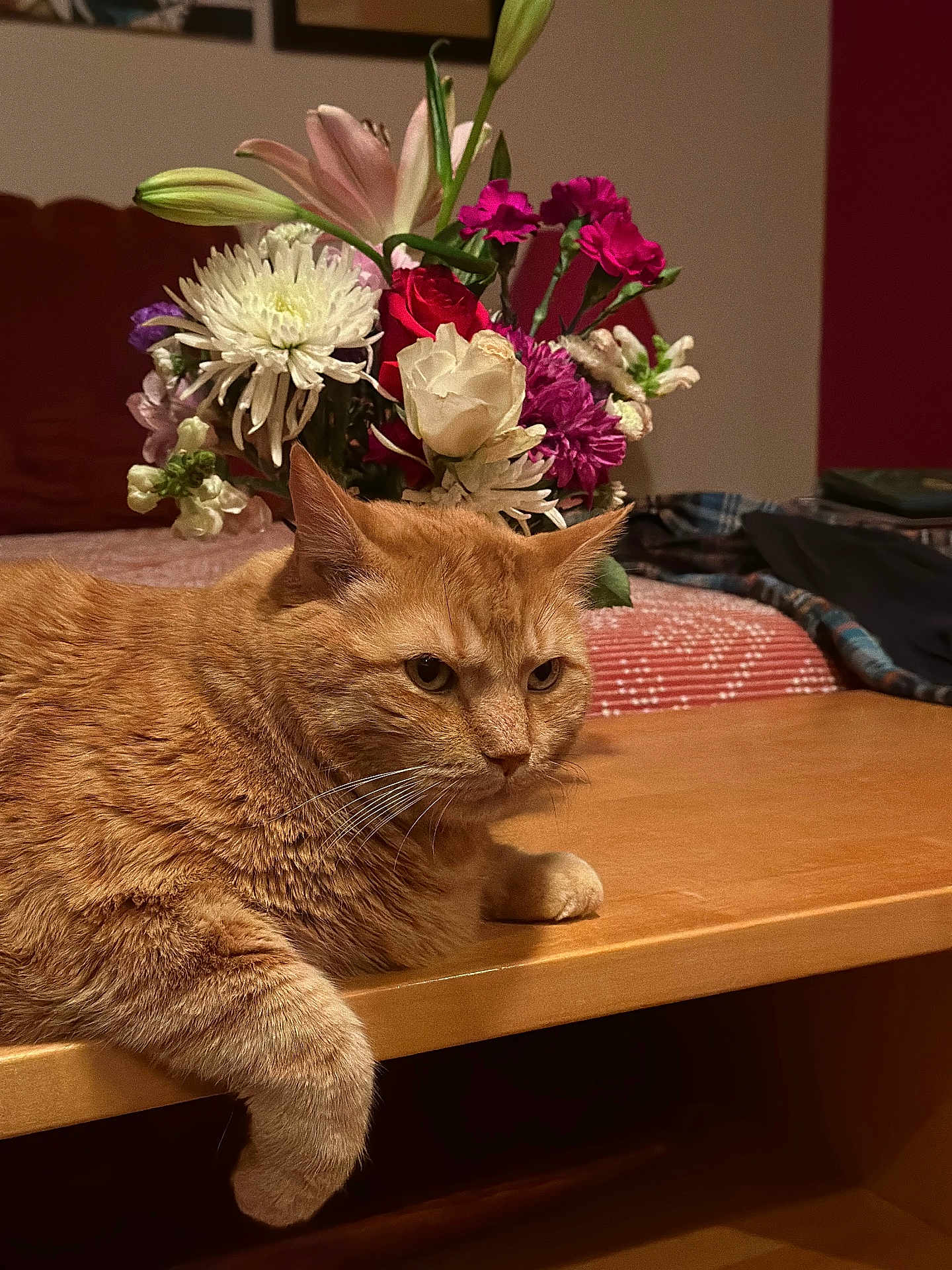 Igby is registered to the contest to win money with this photo: bouquet, cat, close_up, cozy, domestic_cat, feline, flowers, ginger_cat, home, indoor, mammal, orange_fur, paw, pet, portrait, resting, table, vase, whiskers, wooden_table