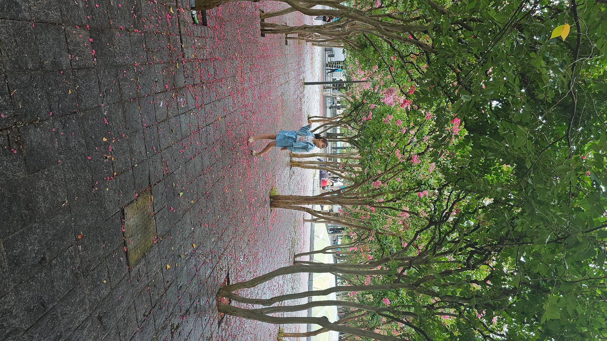 Lina participe au concours pour gagner de l'argent avec cette photo : art, asphalt, city, concrete, facade, flower, grass, landscape, leaf, person, plant, road, road_surface, shadow, sidewalk, street, tints_and_shades, tree, twig, urban_design