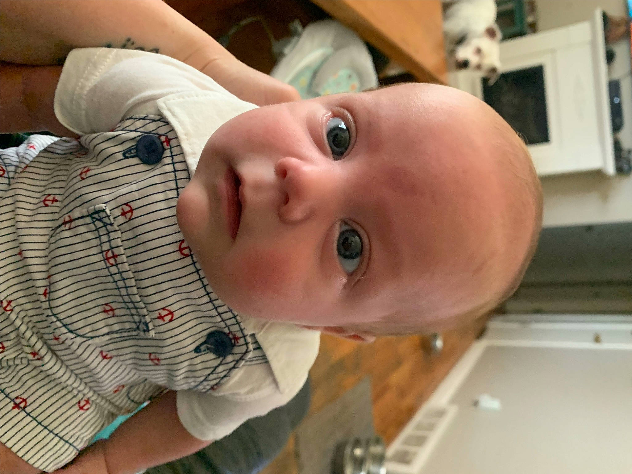 Emerson is registered to the contest to win money with this photo: baby, baby_toddler_clothing, cheek, chest, child, eyelash, finger, fun, happy, hat, iris, lip, mouth, nose, pattern, person, plaid, skin, sleeve, smile